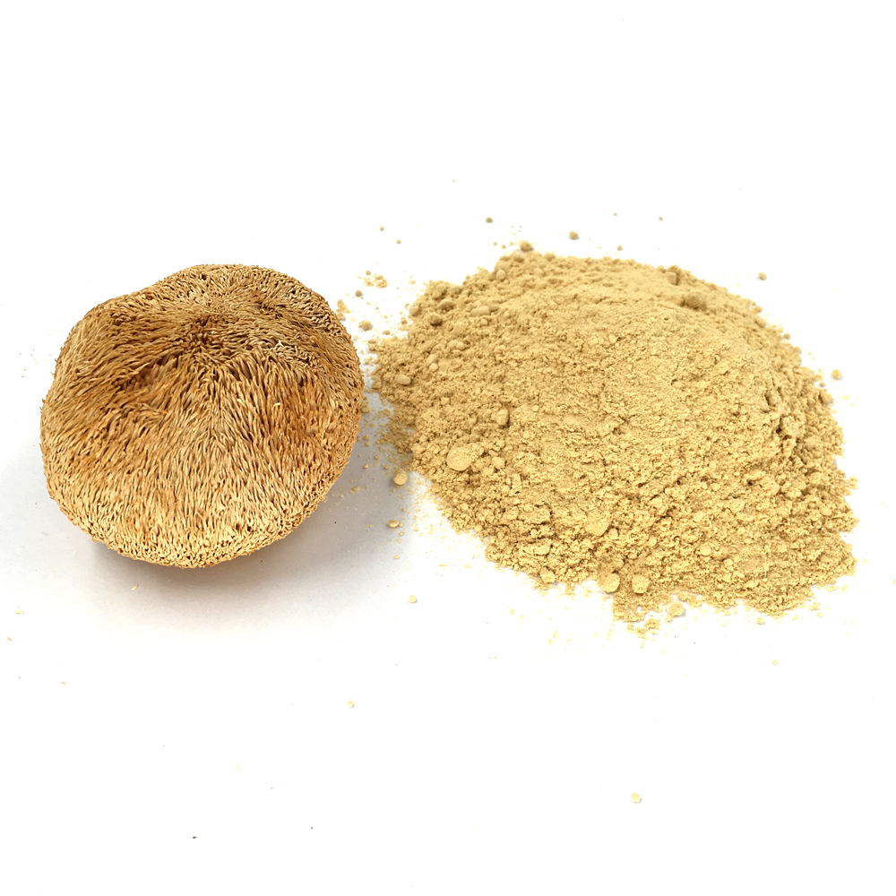 猴头菇粉Dried lions mane powder.jpg